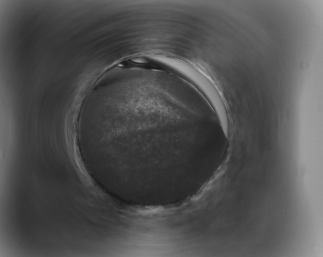 X0000089880097200707121820