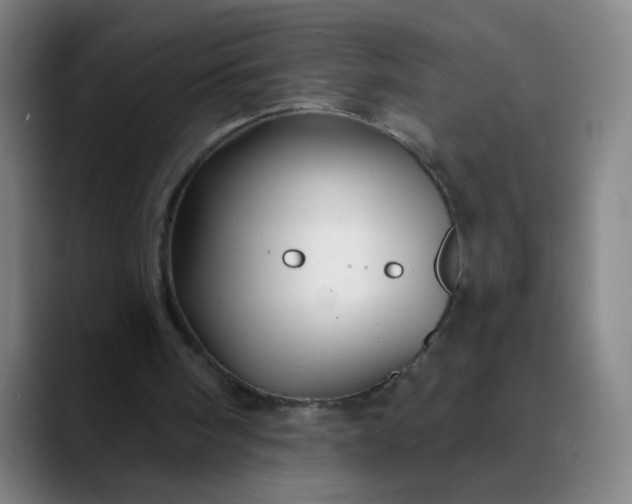 X0000089880098200707121820