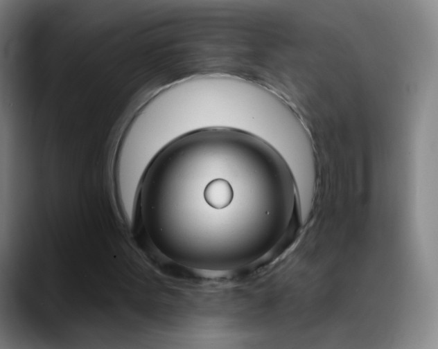 X0000089880099200707121820