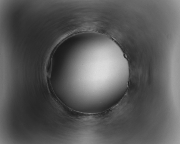 X0000089880100200707121820