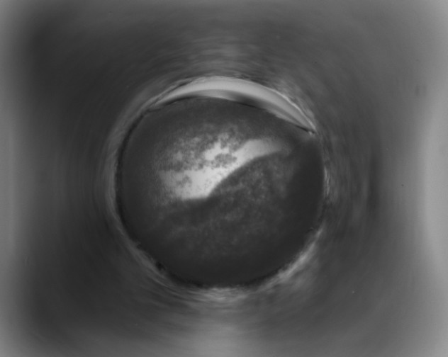 X0000089880101200707121820