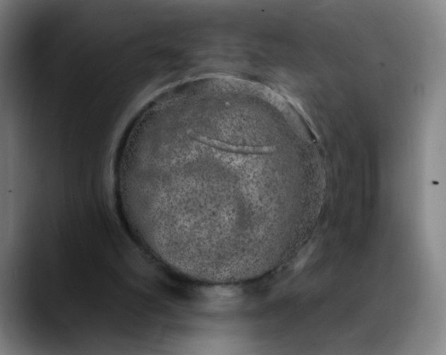 X0000089880102200707121820