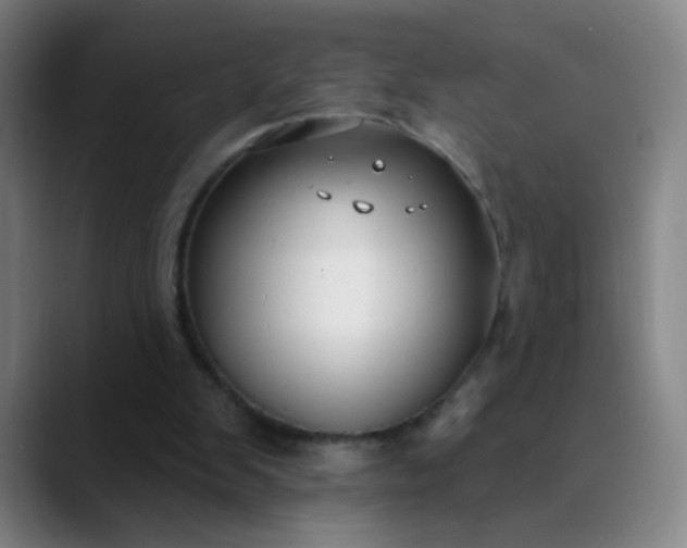 X0000089880103200707121820