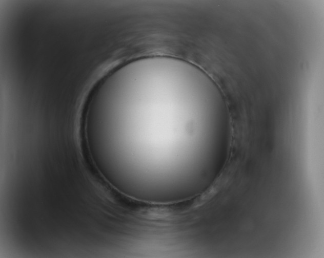 X0000089880104200707121820