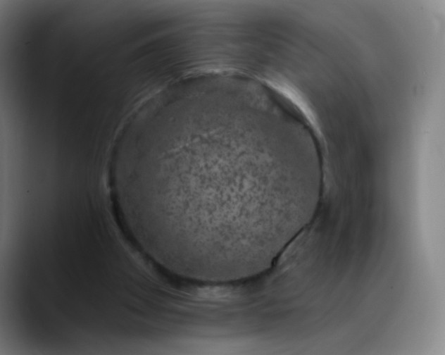 X0000089880105200707121820