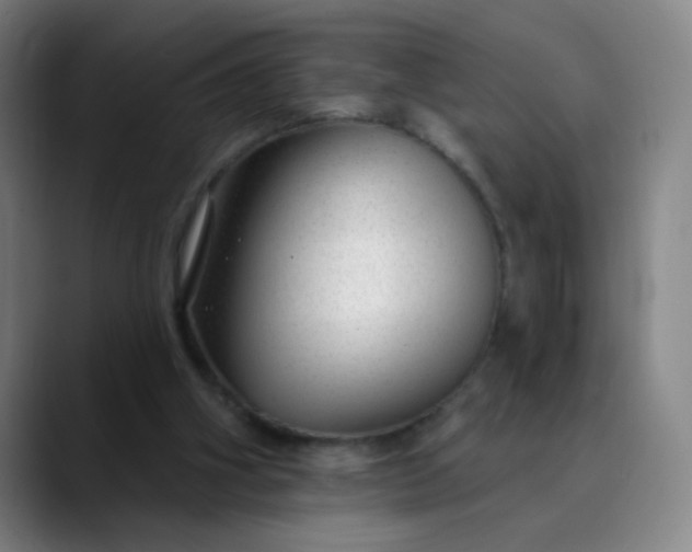 X0000089880106200707121820