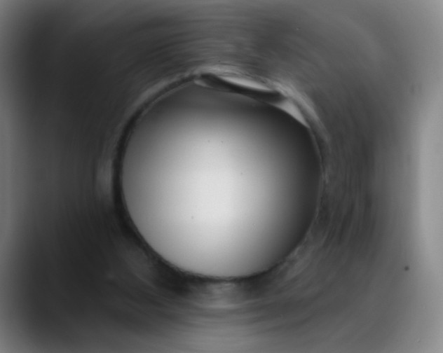 X0000089880108200707121820