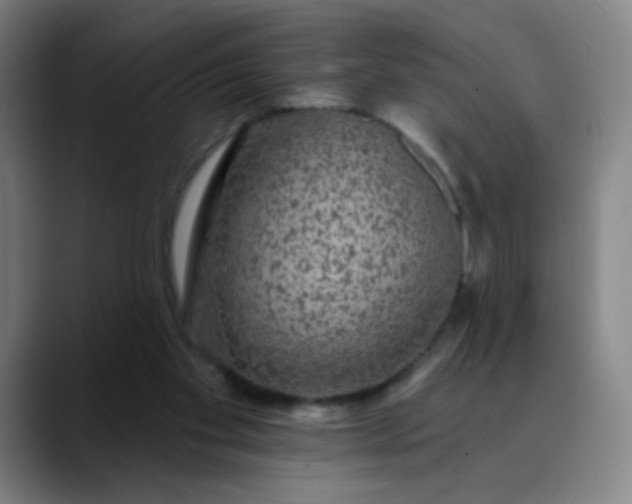 X0000089880109200707121819