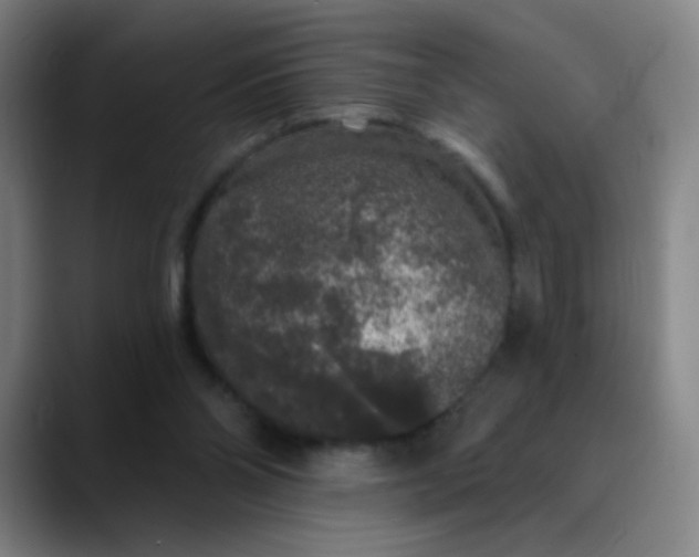 X0000089880110200707121819