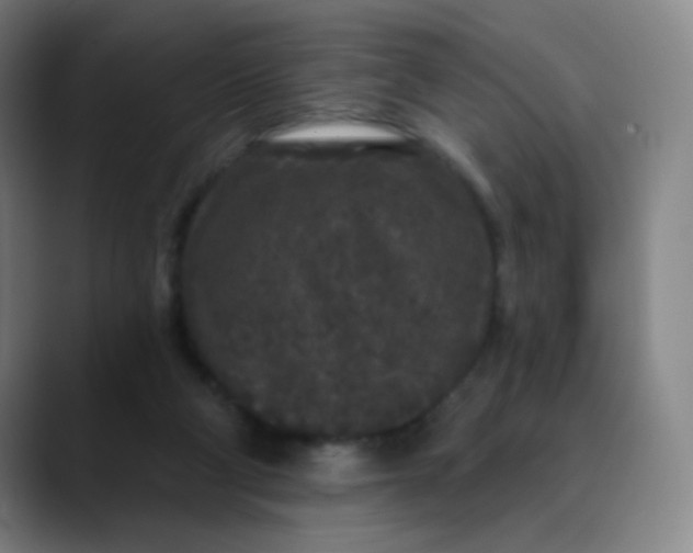 X0000089880114200707121819