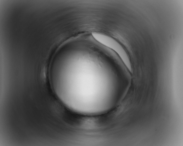 X0000089880115200707121819