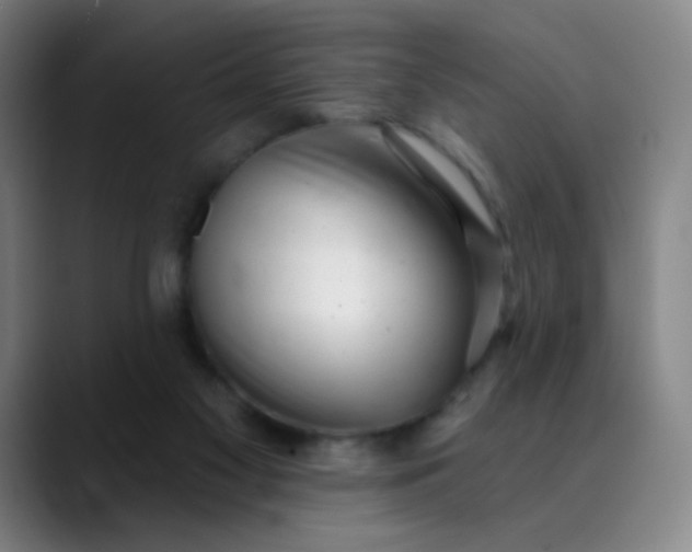 X0000089880117200707121819