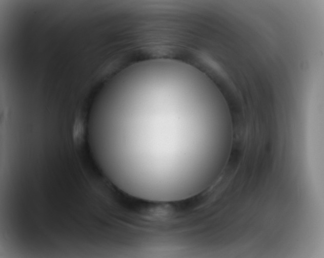 X0000089880124200707121819