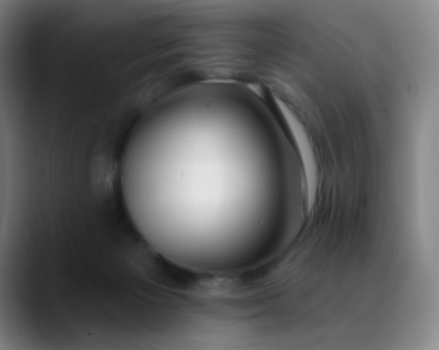 X0000089880125200707121819