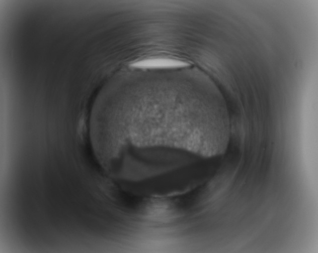 X0000089880127200707121819