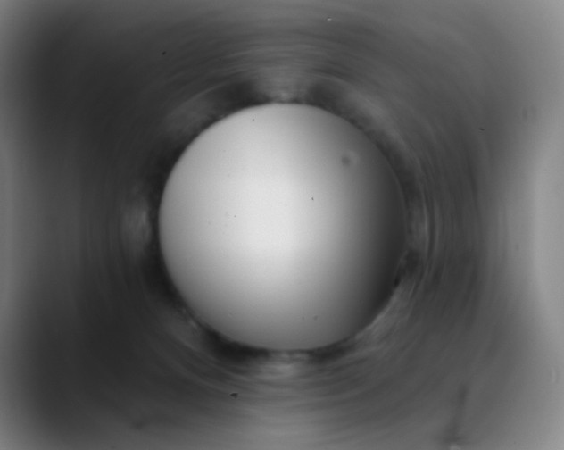 X0000089880128200707121819