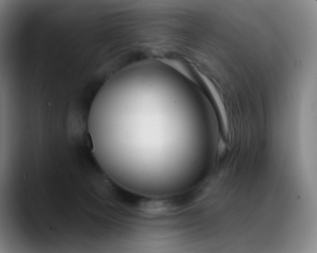 X0000089880129200707121819