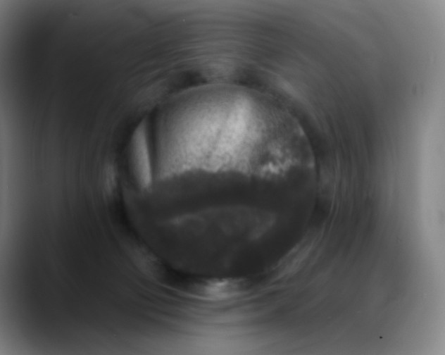 X0000089880130200707121819