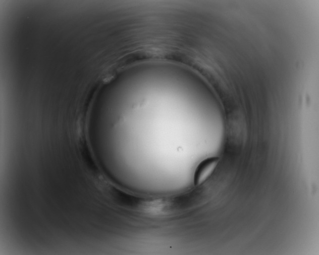 X0000089880131200707121819