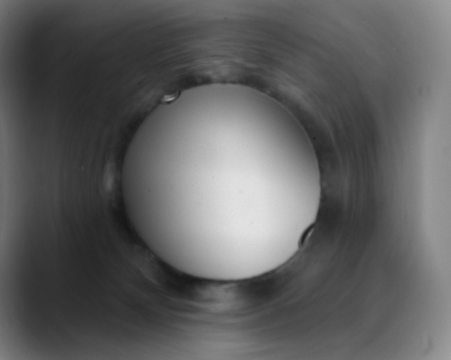 X0000089880132200707121819