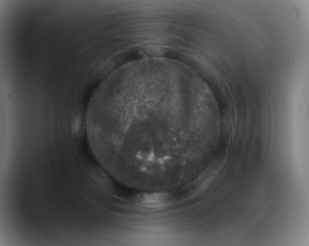 X0000089880134200707121819