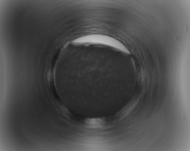 X0000089880137200707121819