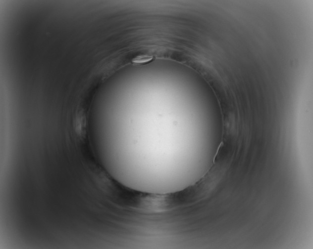 X0000089880138200707121819