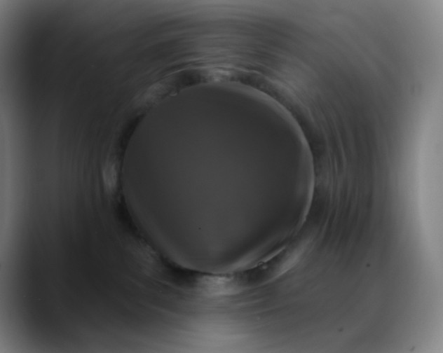 X0000089880139200707121819