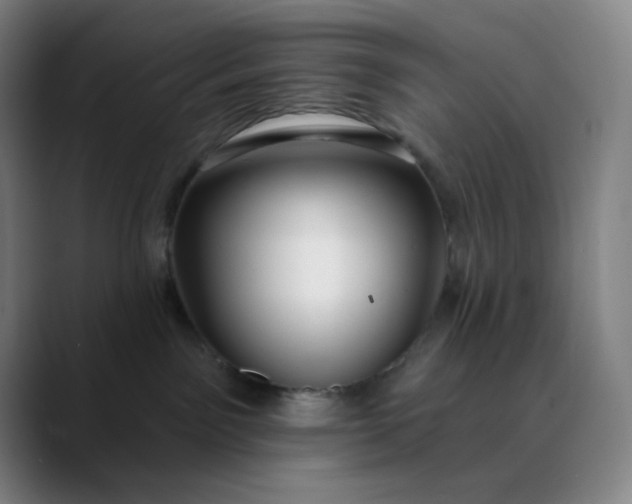 X0000089880141200707121819