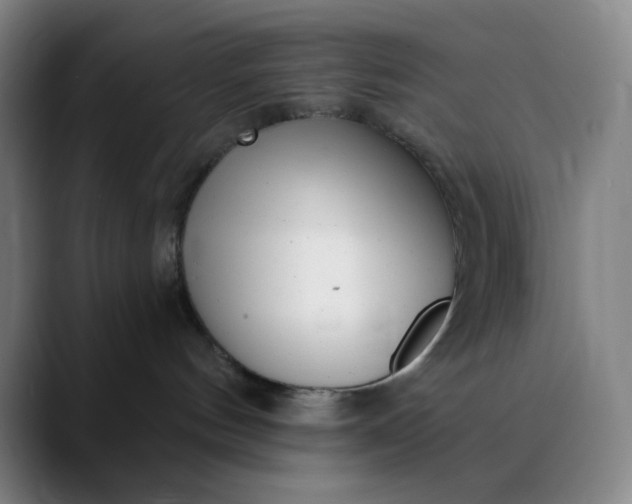 X0000089880144200707121819