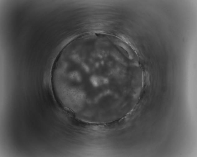 X0000089880147200707121819