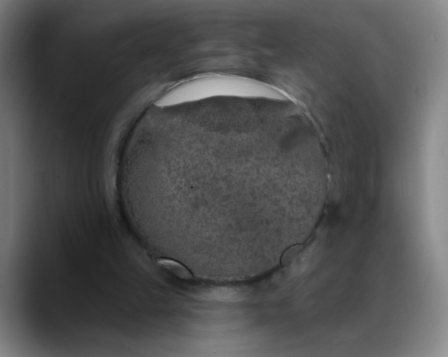 X0000089880149200707121819