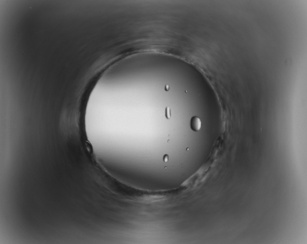 X0000089880150200707121819