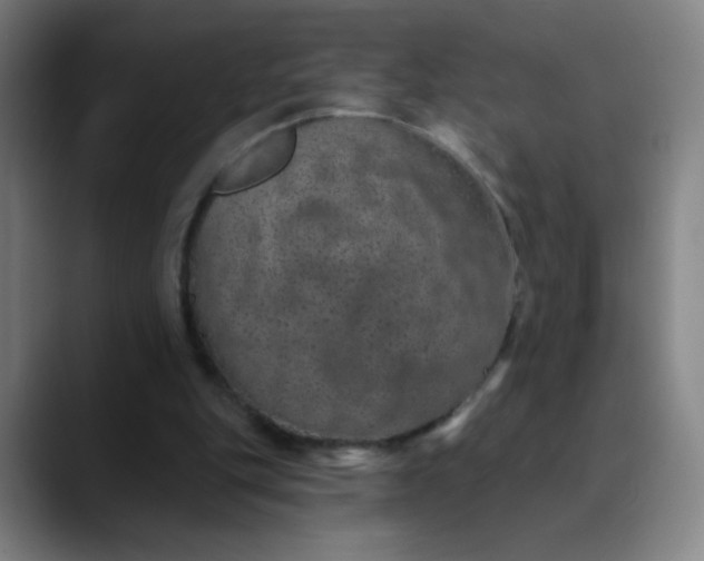 X0000089880151200707121819