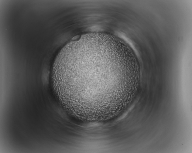 X0000089880153200707121819