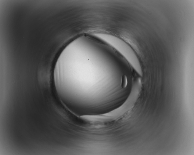 X0000089880156200707121819