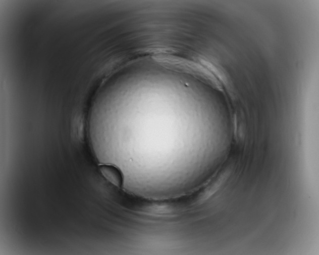 X0000089880157200707121819