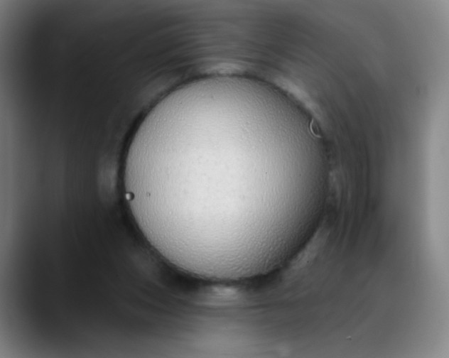 X0000089880159200707121819