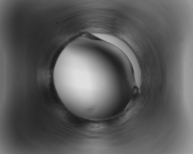 X0000089880160200707121819