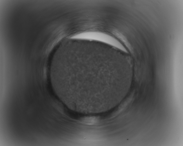 X0000089880161200707121819