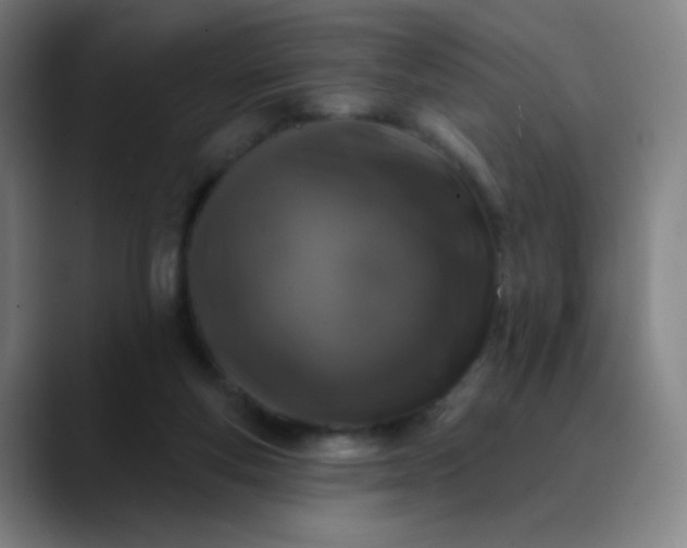 X0000089880163200707121819