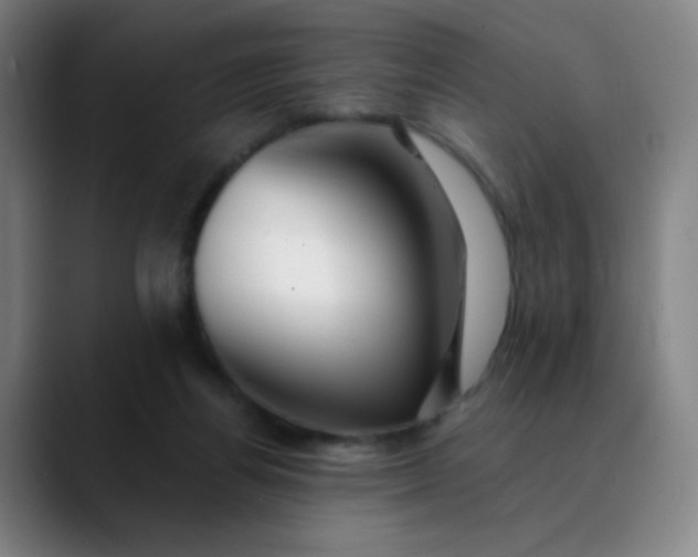 X0000089880164200707121819