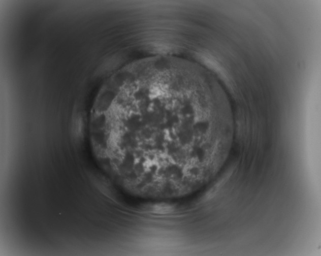 X0000089880165200707121819