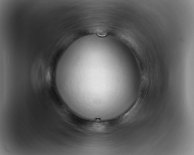 X0000089880166200707121819