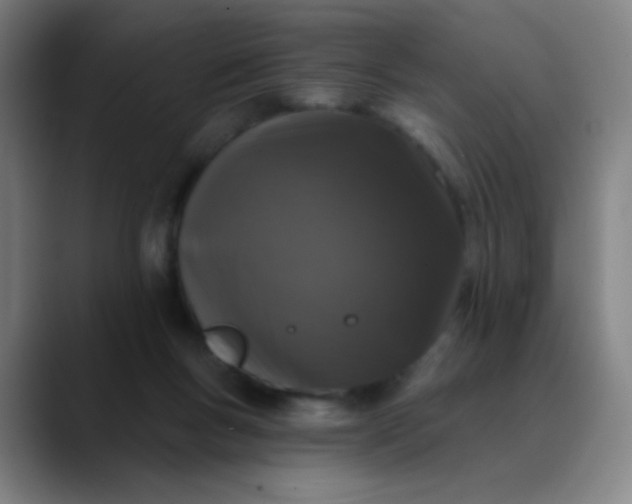 X0000089880167200707121819