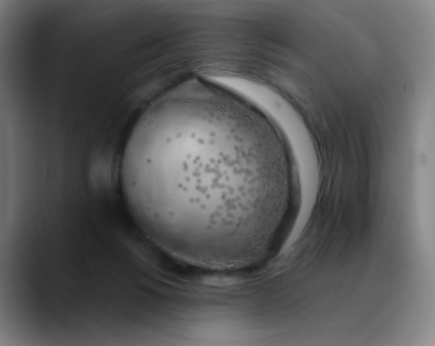 X0000089880168200707121819