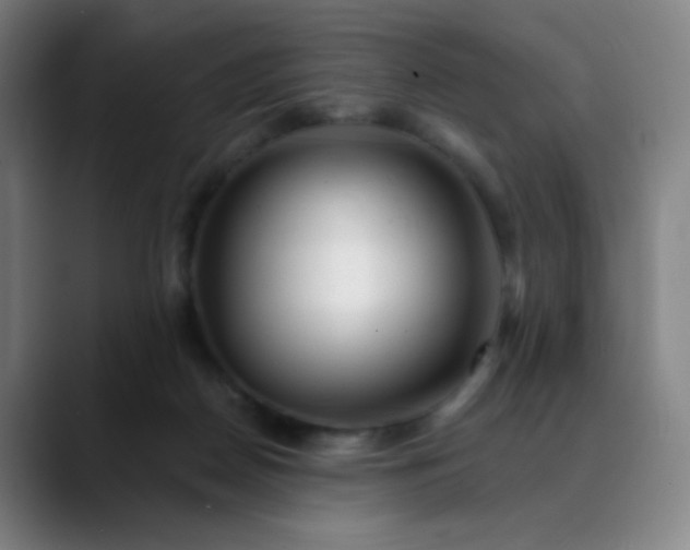 X0000089880170200707121819