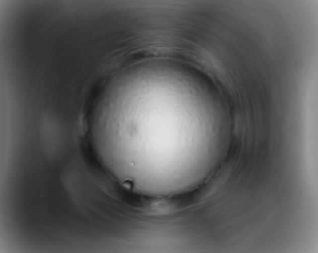 X0000089880173200707121819