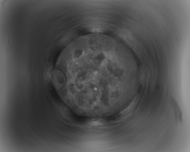 X0000089880175200707121819