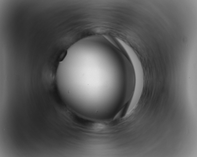 X0000089880176200707121819